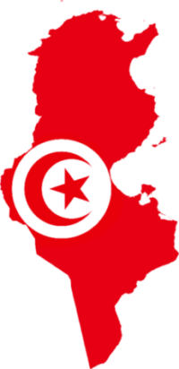 Flag_map_of_Tunisia.svg-removebg-preview (1)